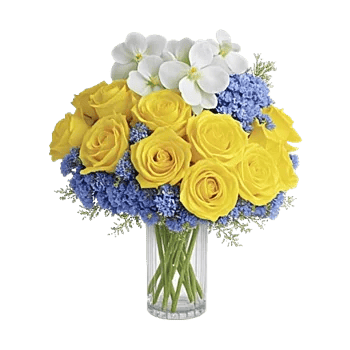 Orchid Bloom Cascade