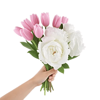 Peony Petal Harmony