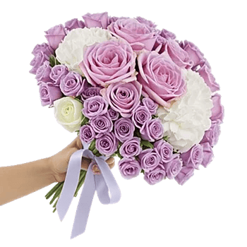 Delicate Petal Cascade