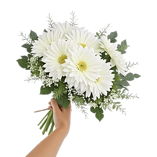 Minimalist White Orchids