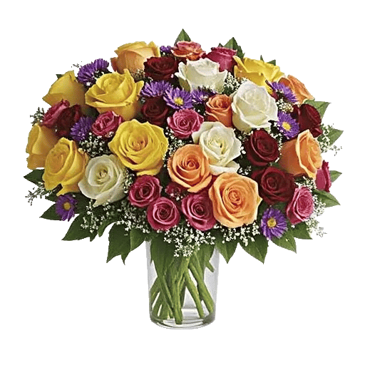 Radiant Rose Symphony