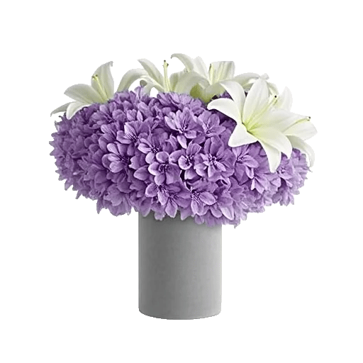 Ivory Blossom Radiance