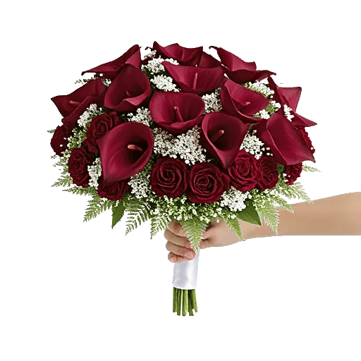 Elegant Calla Lilies