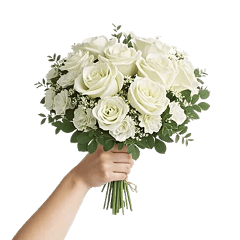 Ivory Garden Grace