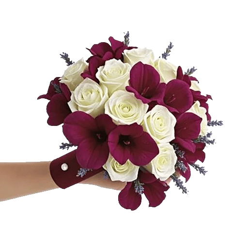 Blushing Rose Symphony