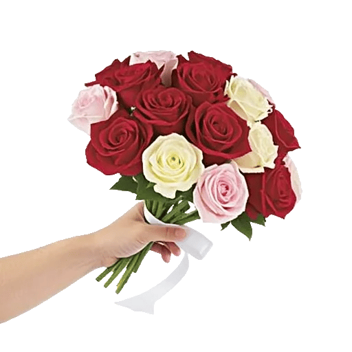 Crimson Rose Elegance