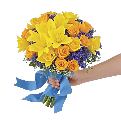 Soft Sunlight Blooms