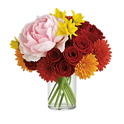 Petal Radiance Bliss