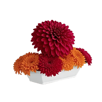 Crimson Blossom Harmony