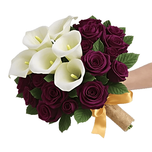 Elegant Calla Lilies