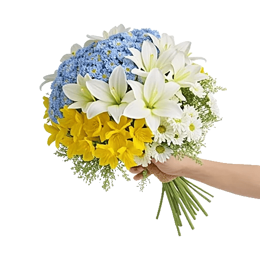 Blossom Petal Serenity