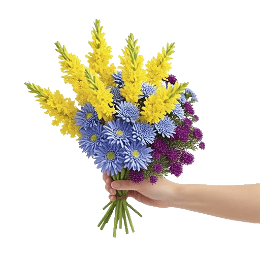 Blossom Harmony Display