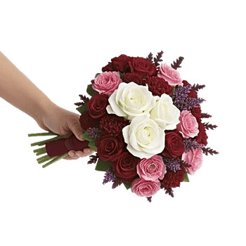 Delicate Petal Cascade