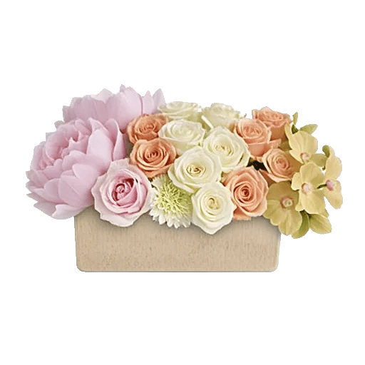 Delicate Petal Cascade