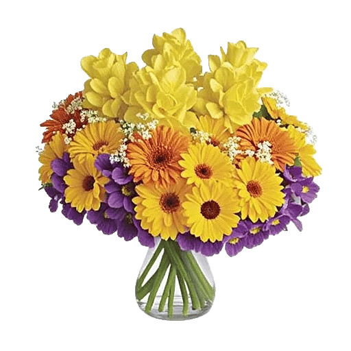Petal Radiance Bliss