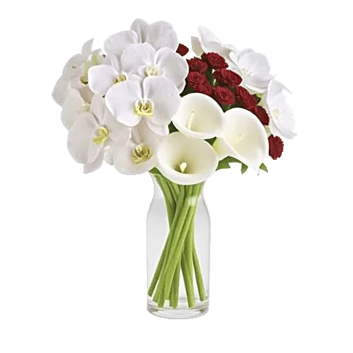 Orchid Bloom Cascade