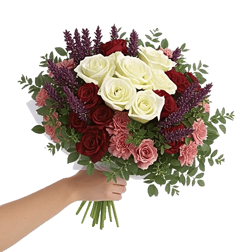 Rosemary Bloom Elegance