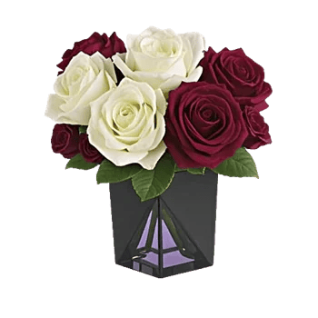 Radiant Rose Symphony