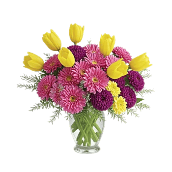 Petal Radiance Bliss