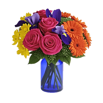 Petal Radiance Bliss