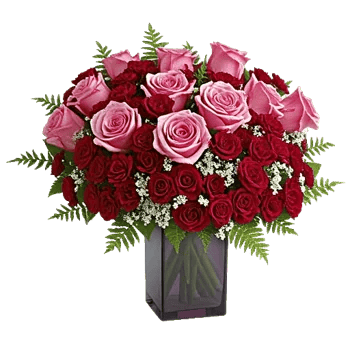 Glistening Rose Garden