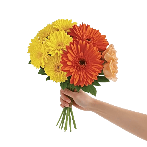 Radiant Bloom Cascade