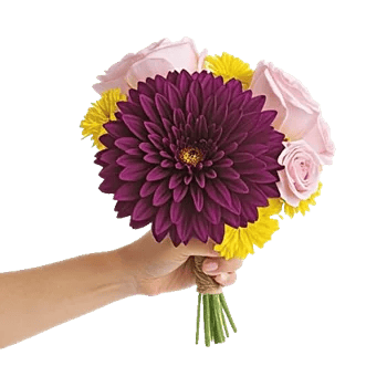 Radiant Bloom Cascade