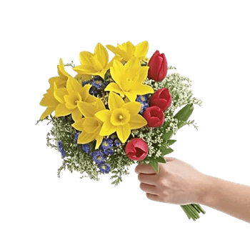 Blossom Harmony Display