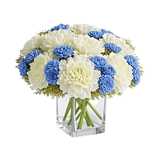 Delicate Petal Cascade