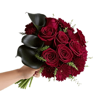 Deep Red Foliage