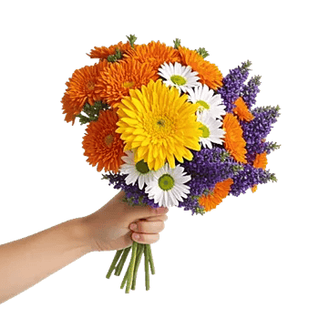 Petal Harmony Bliss