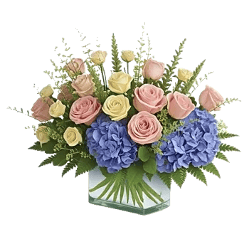 Blooming Serenity Display