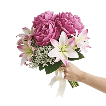 Peony Petal Harmony
