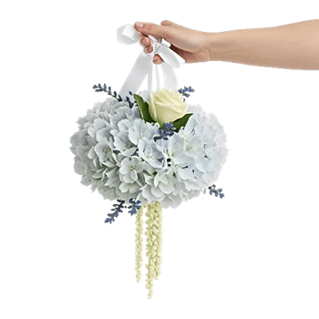 Serene Petal Harmony