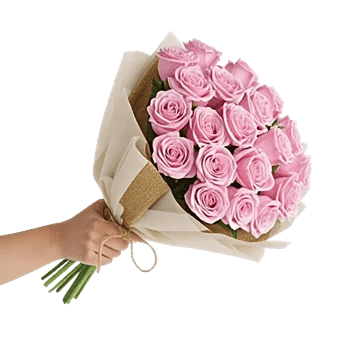 Crimson Rose Elegance