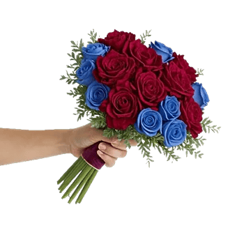 Crimson Rose Elegance