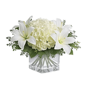 Ivory Blossom Radiance