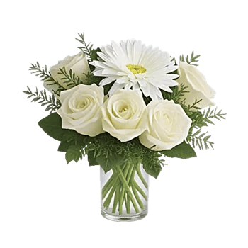 Minimalist White Orchids