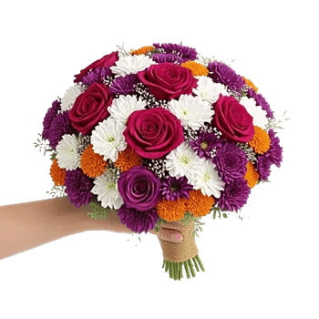 Blushing Rose Symphony