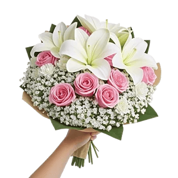 Blushing Rose Symphony