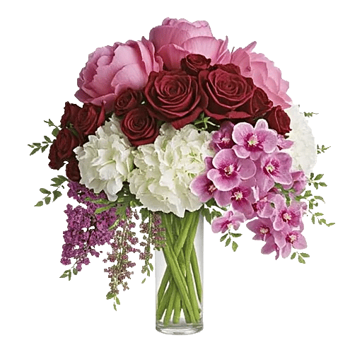 Petal Radiance Bliss