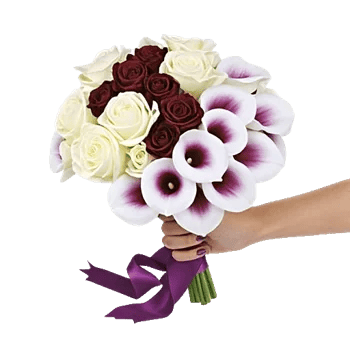 Elegant Calla Lilies