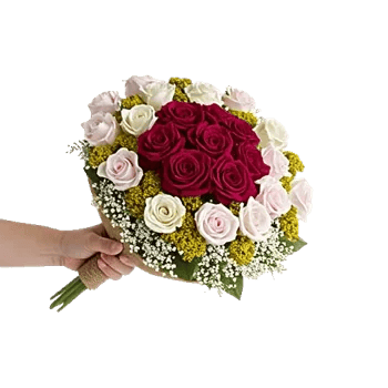 Crimson Rose Elegance