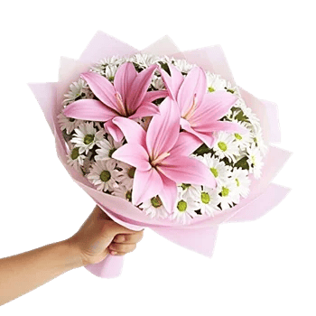 Blossom Harmony Display