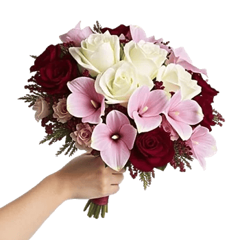 Elegant Calla Lilies