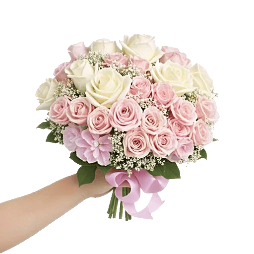 Pastel Pink Roses
