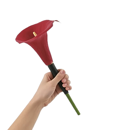 Elegant Calla Lilies