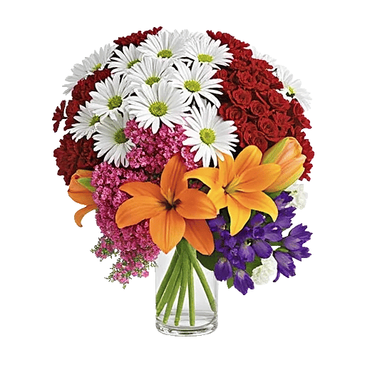 Petal Radiance Bliss