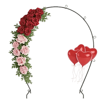 Petal Radiance Bliss