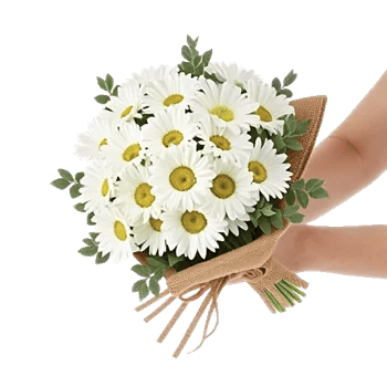 Blossom Harmony Display